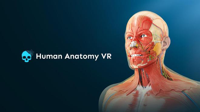 jbo竞博电竞SteamVR年度黑马盘货：10款小众但封神的2025VR游戏(图8)
