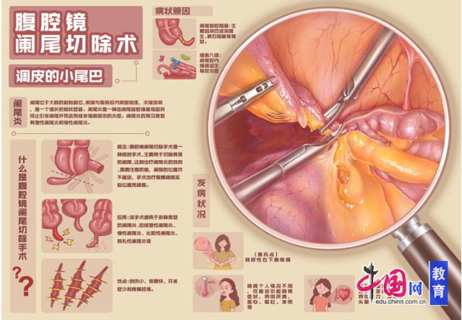 jbo竞博电子科技大学成都学院门生获天下医门生剖解学画图大赛一等奖(图3)